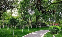 汝州都市爆料最新消息