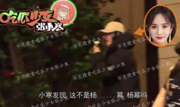 今日爆料娱乐八卦图片,今日爆料图片背后的惊人真相